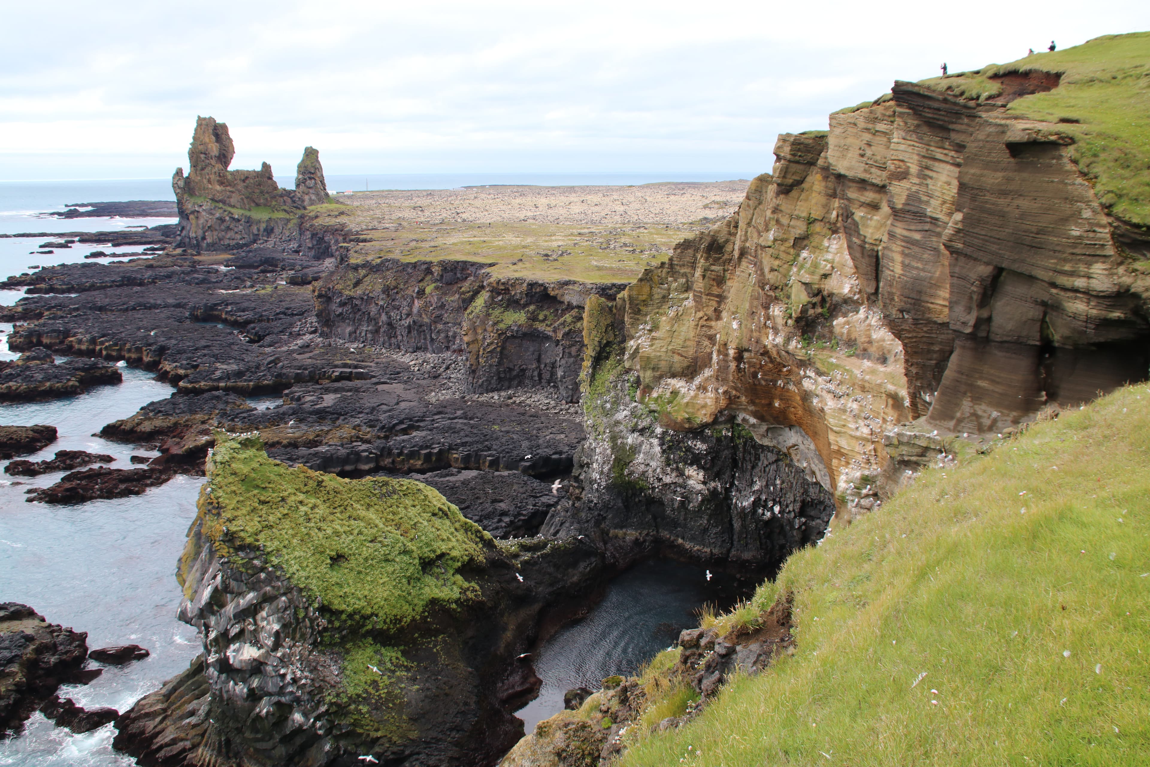 Snæfellsnes - Arnarstapi, Snæfellsjökull & Kirkjufell